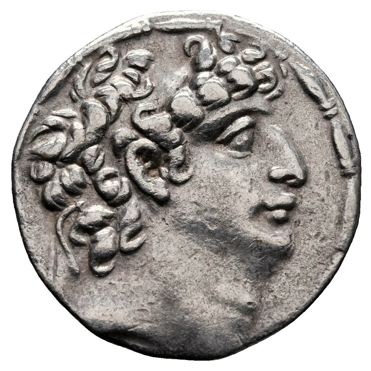 Obverse of coin related to Philip I Philadelphos Tetradrachm